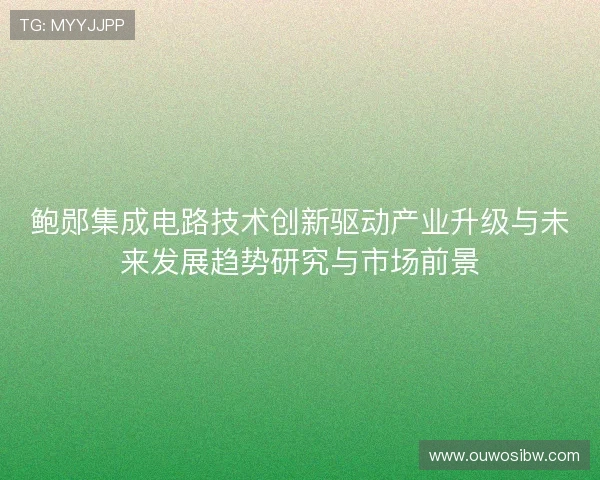 鲍郧集成电路技术创新驱动产业升级与未来发展趋势研究与市场前景 鲍郧集成电路技术创新驱动产业升级与未来发展趋势研究与市场前景